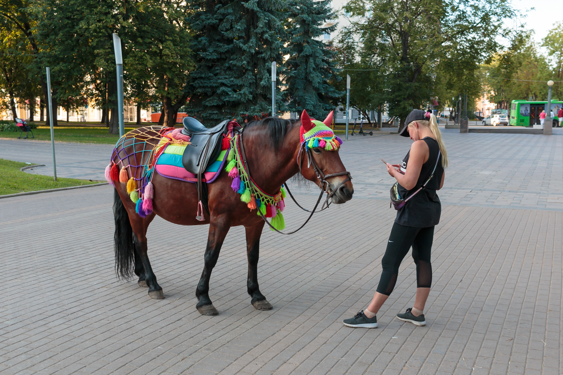 Псков: лошадь в Детском парке